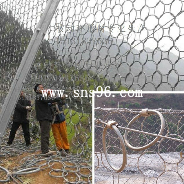 RXI-025型sns被動(dòng)環(huán)形網(wǎng)