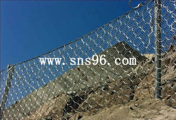 RXI-200被動(dòng)環(huán)形網(wǎng)